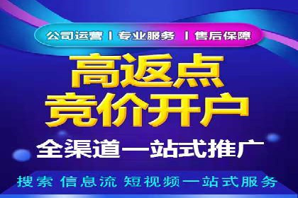 百度竞价赚钱攻略：实战案例分享